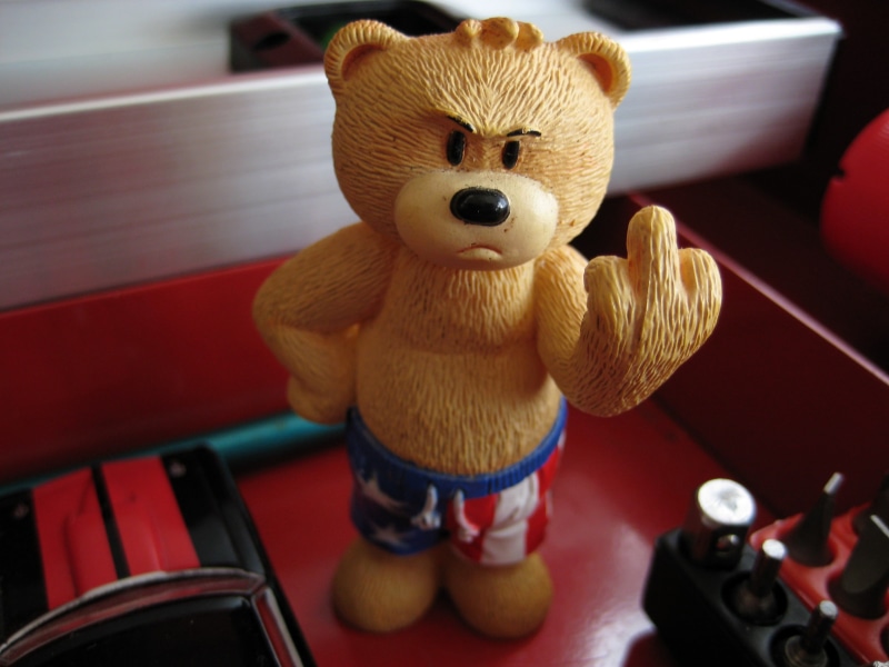 2K, teddy, art, middle finger, middle, TEDDY BEARS, bears, finger, animals, x, hd