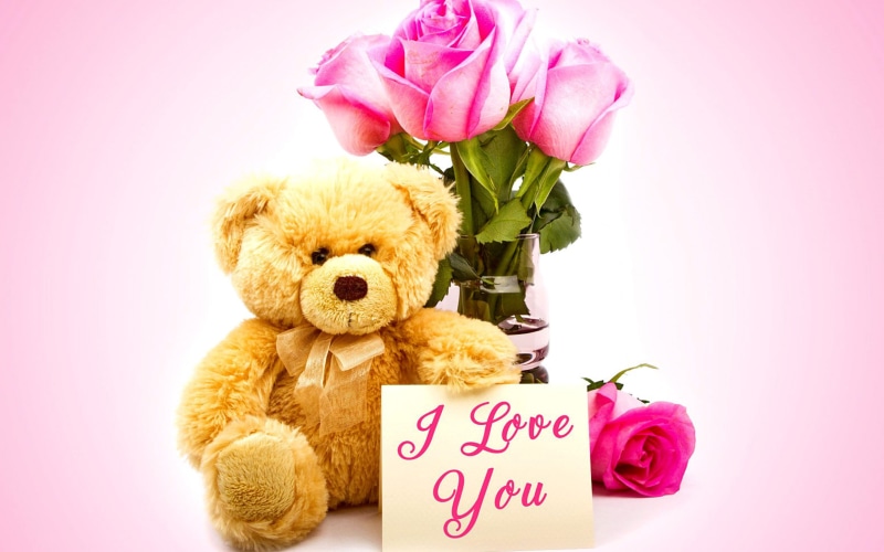 day, valentines, pink roses, love, valentines day, teddy, teddy bear, 2K, roses, bear, i love you, pink