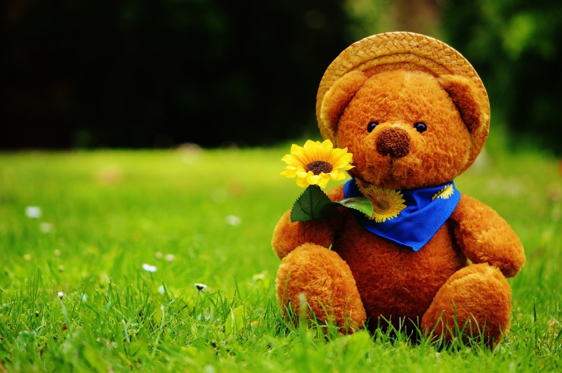 mammal, funny, stuffed toy, animal, plant, outdoors, flower, green color, sweet, stuffed animal, toy, land, soft toy, childhood, close-up, field, bears