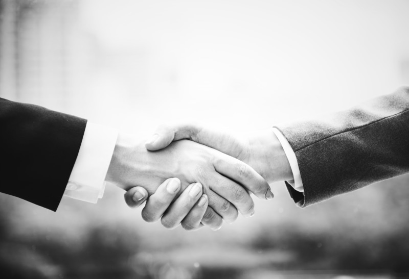 handshake, business deal, celebration, people, meeting, work, teamwork, human body part, positive emotion, connection, couple - relationship, business woman