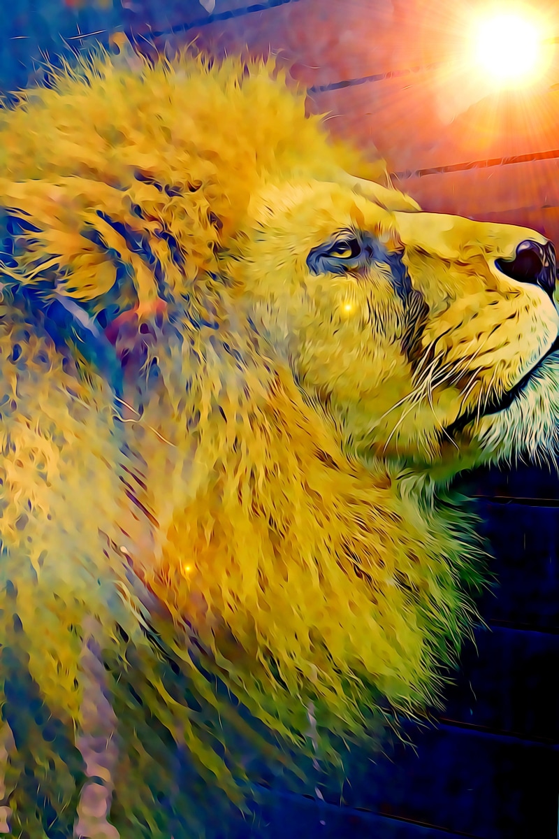 is watching, focus on foreground, animal wildlife, nature, no people, day, graphics, domestic animals, digital, color, painting, vertebrate, bird, beauty in nature