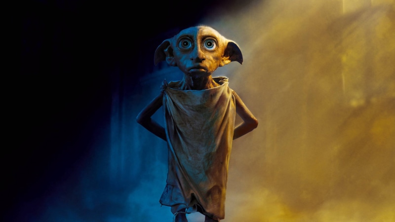 dobby the house elf, domestic, studio shot, creature, hd, dog, canine, looking, pets, animal body part, creativity, copy space, looking at camera, representation