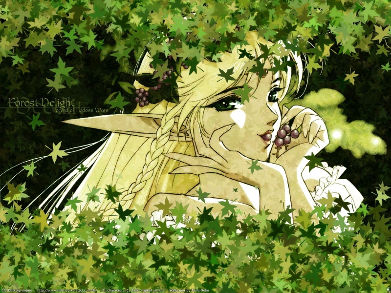 deedlit, lodoss, war, 720P, record