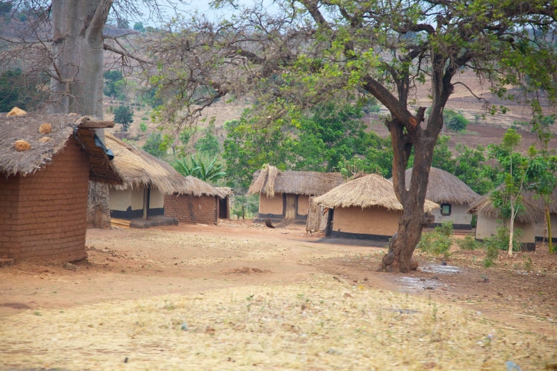 malawi, mud, village, huts, tree, nipa, trees, roof, house, building exterior, homes, thatched, nature, building, built structure, 2K, africa, growth