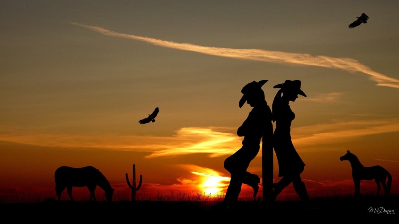 firefox persona, sunset, cowgirl, romance, cactus, horse, western, cowboy, 1080P, eagles, 3d and ab, love