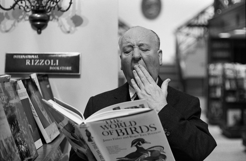 birds, books, paper, 4K, adult, activity, mature adult, men, Alfred Hitchcock, mature men, text, unemployment, males, Film directors, yawning, waist up