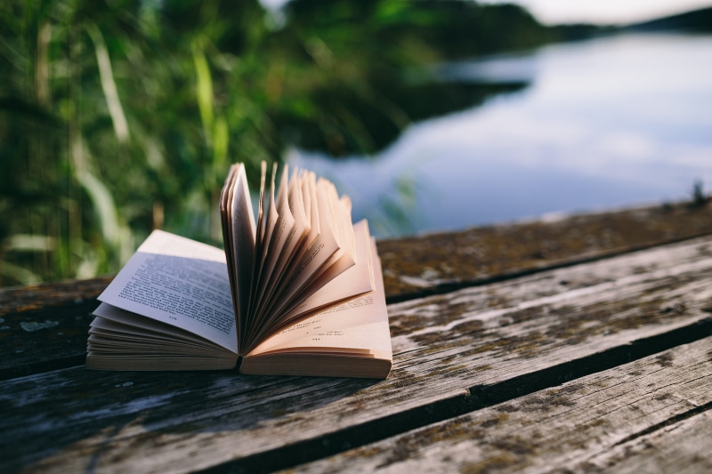 book, water, selective focus, 5K, old pier, close-up, wooden boards, no people, page, tree, pier, textbook, reading, nature, open, time, tranquility, literature