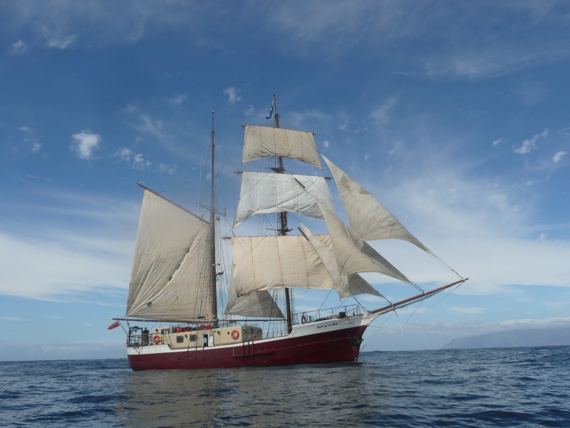 sunset, nautical, sailing ship, mast, luxury, Sail, Tall Ship, oldtimer, landscape, day, Sea, waterfront, lifestyle, marine, tallship, relaxation, transportation