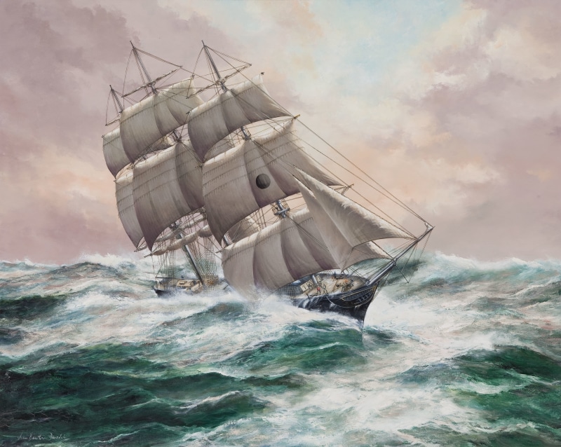 horizon, passenger Ship, cruise Ship, rigging, galleon, white, adventure, nautical Vessel, New York, military Ship, sail, nature, gray, sky, travel, shipping