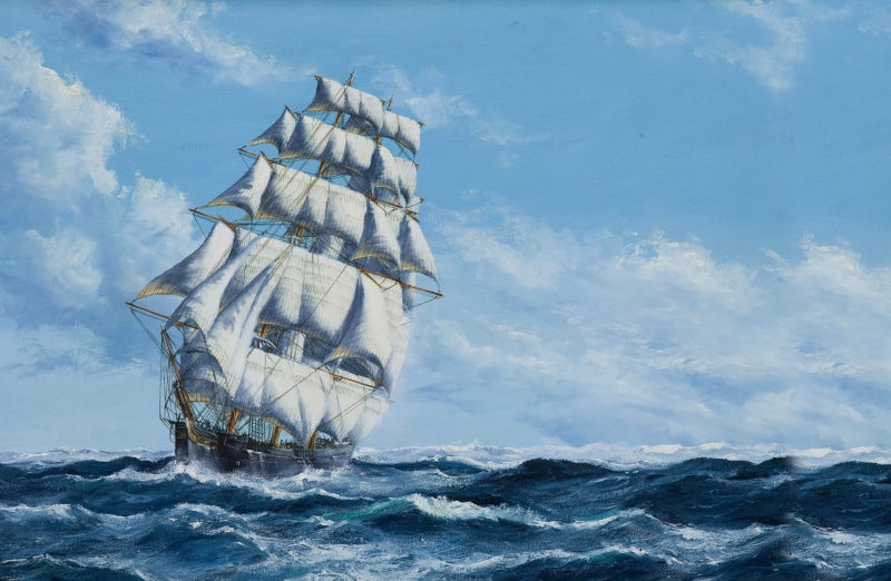 animal, cruise Ship, horizon, beauty in nature, fish, vacations, illustration, old-fashioned, sailing, transportation, animals in the wild, tall Ship, no people