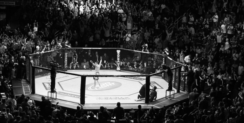 stadium, extreme, fight, mma, martial, battle, 1080P, battles, b w, crowd, black, crowds, arts, ufc, mixed