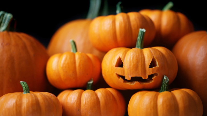 1080P, pumpkin, lantern, Halloween