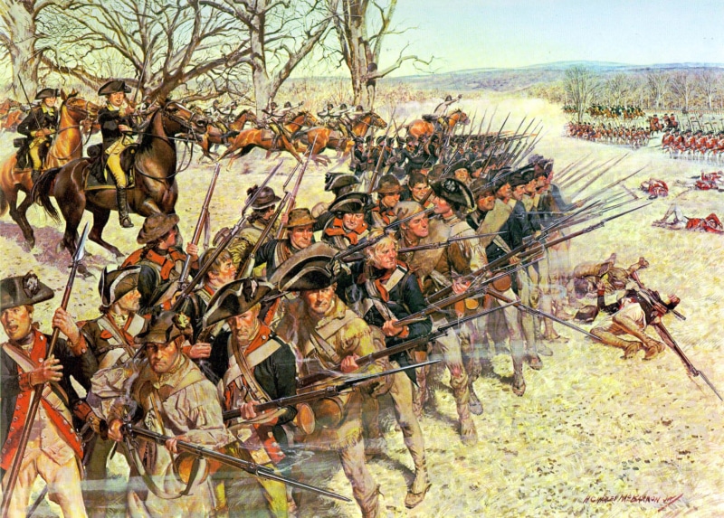 growth, courthouse, Battle of Guilford Courthouse, plant, no people, large group of animals, formation, landscape, military, american revolution, nature