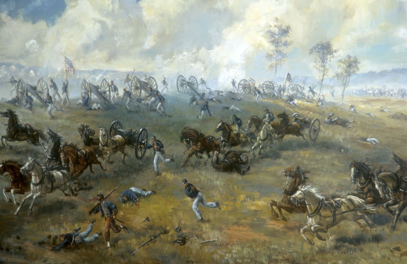 american, flock Of Birds, animal wildlife, herd, Rickett, outdoors, large Group Of Animals, 1st battle of bull run, ricketts battery, public domain, battle of bull run