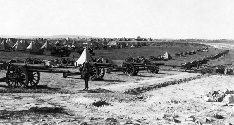 landscape, animal themes, beauty in nature, mammal, cultures, concepts And Ideas, artillery, people, troops, environment, army, battery, vintage, obsolete