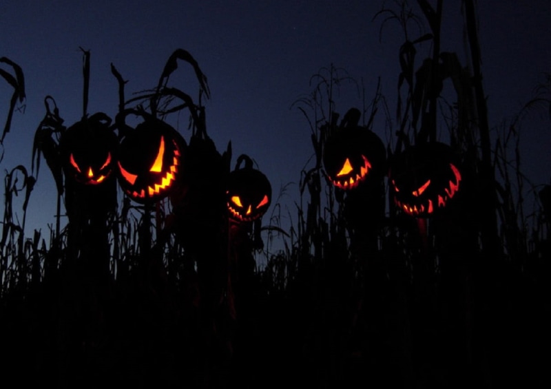 five, flame, nature, dark, o, water, jack, heat - temperature, lanterns, night, burning, sky, daytime, Halloween, no people, outdoors, silhouette, fire - natural phenomenon