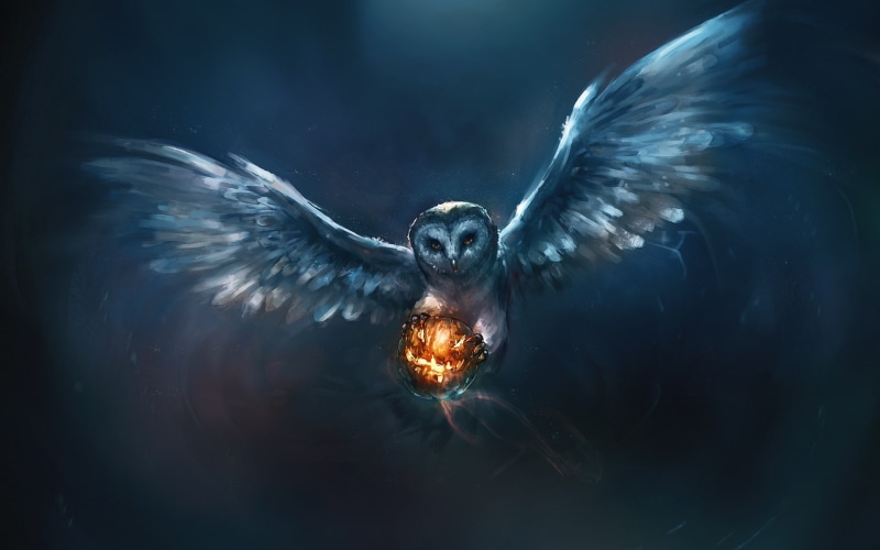 black, white, Animal, Owl, snow, 1080P, Halloween, Pumpkin, Painting