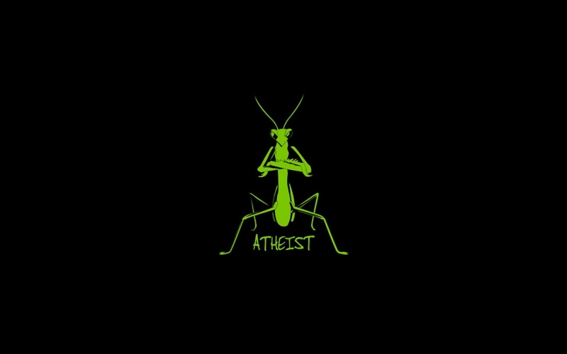 Humor, grasshopper, atheist, green, Funny, 1080P