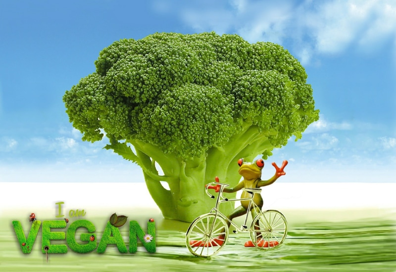 sky, ingredients, organic, cloud - sky, picked up, delicious, frog, appetite, wellbeing, bicycle, kitchen, nourishing, stalk, white, leaf, eat, fiber, digital