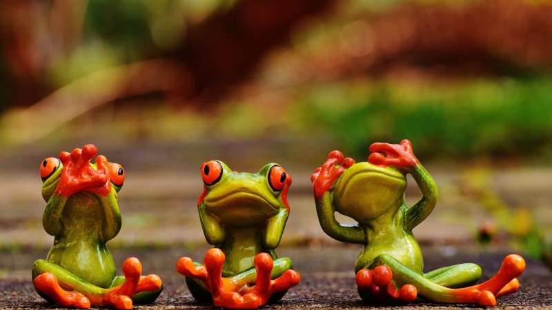 vegetable, cute, nature, food and drink, close-up, eyes, wellbeing, healthy eating, day, bell pepper, red, representation, outdoors, focus on foreground