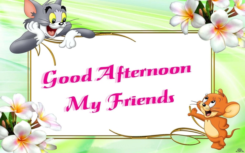 2K, good, wish, desktop, phones, jerry, hd, tom, afternoon, tablet, mobile, friends, pc