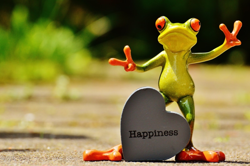 happiness, cheerful, positive, text, green, look forward, smile, creativity, standing, nature, funny, art and craft, live, 5K, no people, laugh