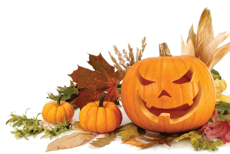 fall, leaves, jack-o-lantern, halloween, pumpkins, pumpkin, 720P, gourds, autumn