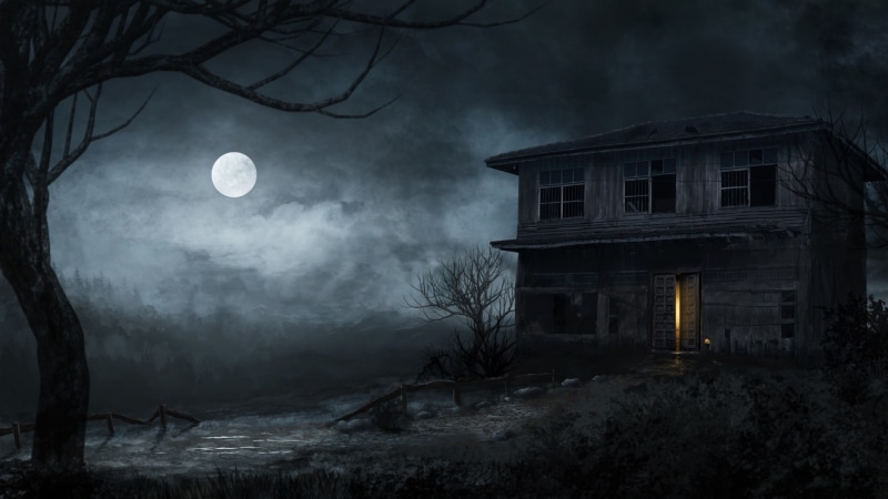 horror, moon, moonlight, haunted house, ghost house, night, full moon, fearful, abandoned, 1080P, haunted, creepy
