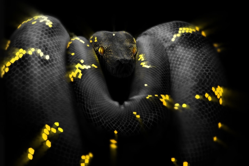 Surreal Snake, Python, Eyes, by Ben Judd, Art, Head, Ben Judd, Snake, 1080P