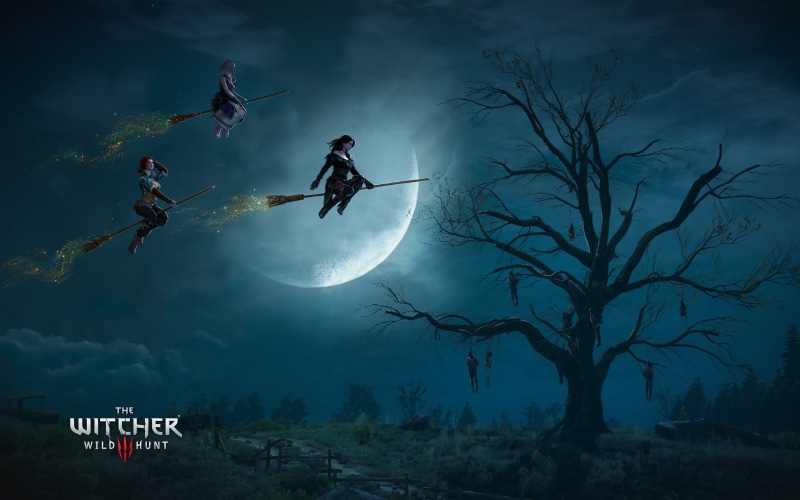 transportation, hunt, nature, adventure, sport, land, The Witcher 3: Wild Hunt, outdoors, Yennefer of Vengerberg, motion, extreme sports, plant, Yennefer