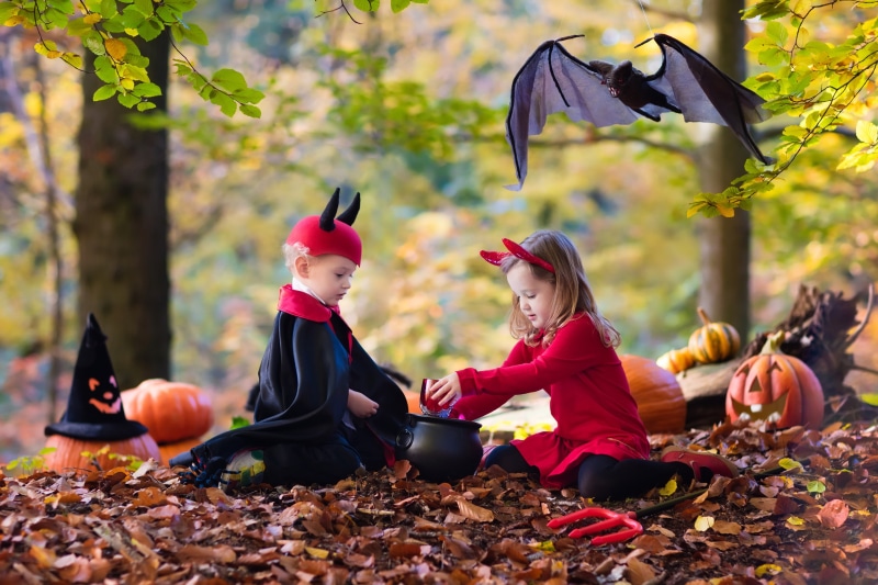 Autumn, Halloween, girl, cloak, child, boy, Pumpkin, bat, 2K, children, play, childrens, leaves