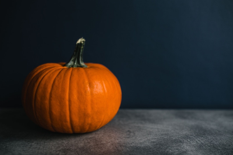 halloween, nature, october, Pumpkin, dark, orange Color, still life, copy space, thanksgiving, black background, 4K, close-up, fall, food and drink, decoration