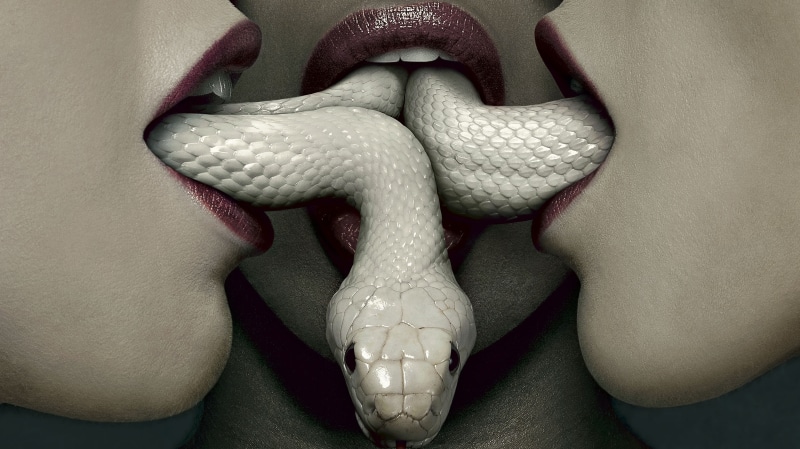 close-up, gray, body part, backgrounds, art and craft, animal body part, American Horror Story, snake, vertebrate, people, reptile, creativity, horror
