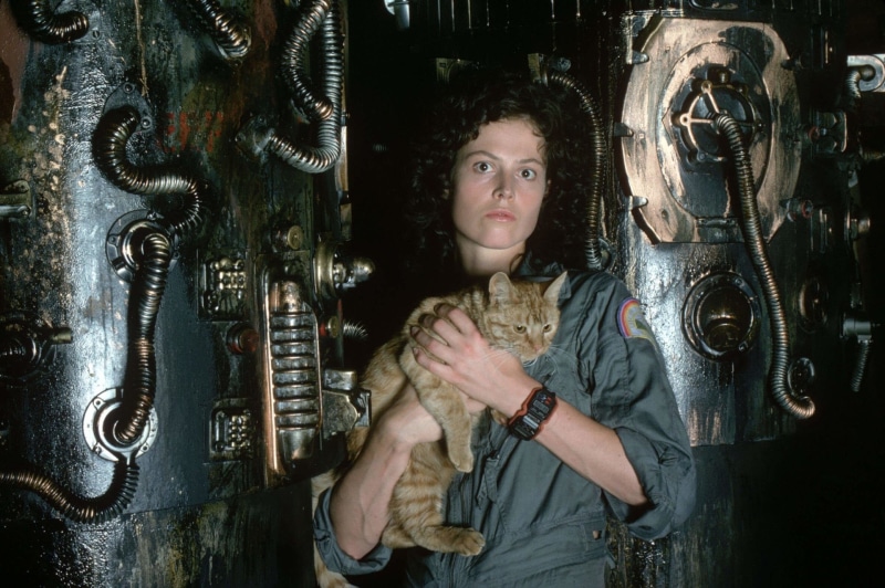 Alien, front view, adult, indoors, holding, casual clothing, 1080P, mid adult, standing, Sigourney Weaver, mechanic, looking at camera, creativity, occupation