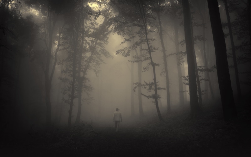 mist, fog, mystery, tree, green, one person, beauty in nature, outdoors, tranquility, tranquil scene, trees, 4K, hazy, fantasy, non-urban scene, trunk