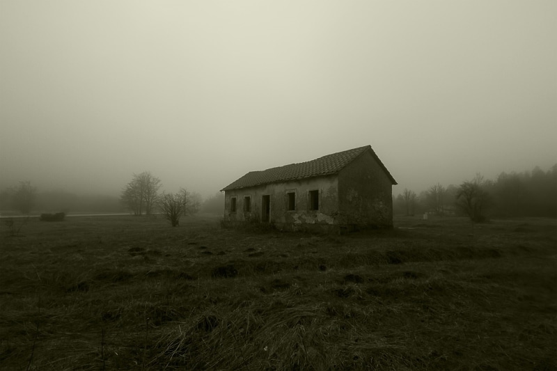 house, nature, fog, architecture, grass, copy space, 2K, outdoors, no people, field, sky, built structure, spooky, plant, environment, tranquility, tree
