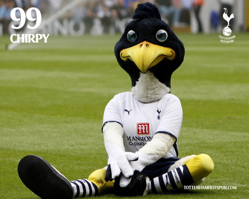 soccer, blue eyes, 720P, soccer pitches, Tottenham Hotspur, mascot, crew, COYS, clothing, Tottenham, spurs, field, cap, one person, hat, grass, eyes, text