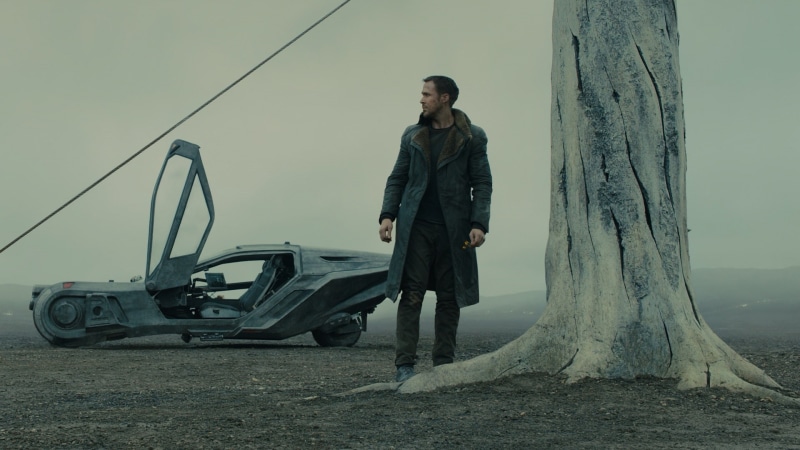 trees, full length, fog, Blade Runner 2049, transportation, real people, 1080P, warm clothing, plant, one person, young men, casual clothing, land, lifestyles
