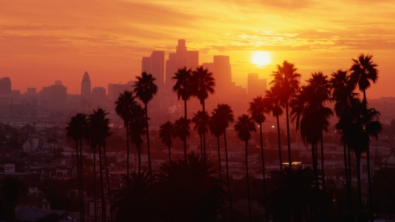 palm trees, Los Angeles, 1080P, sunset