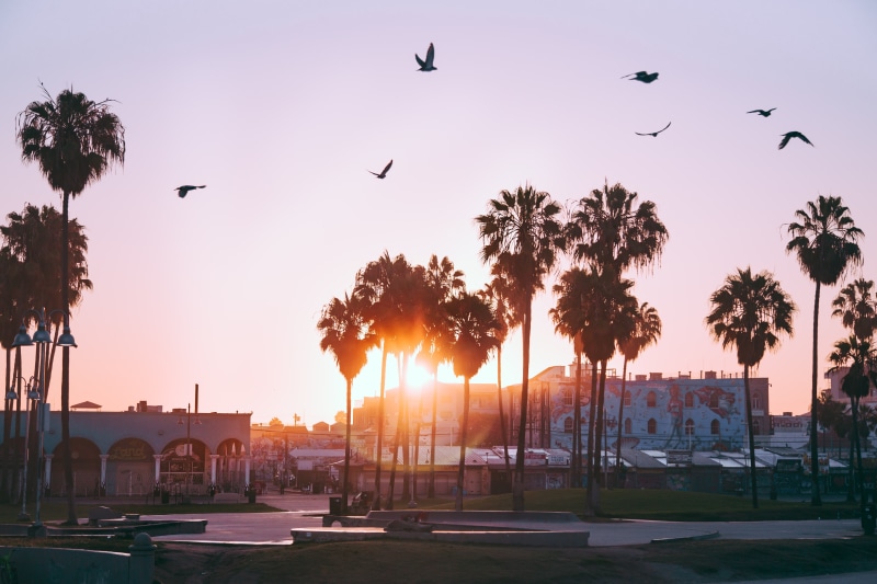 summer, animals in the wild, travel, architecture, night, vacations, building exterior, tourism, built structure, no people, palm trees, 5K, sunlight