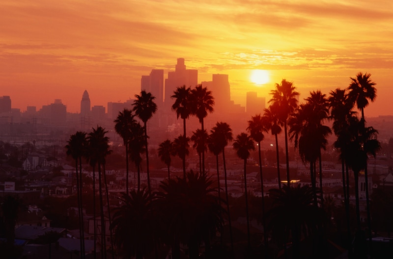 tropical Climate, growth, palm Tree, city Of Los Angeles, travel, color Image, vacations, los Angeles County, hotel, scenics, sunlight, famous Place, sunrise - Dawn