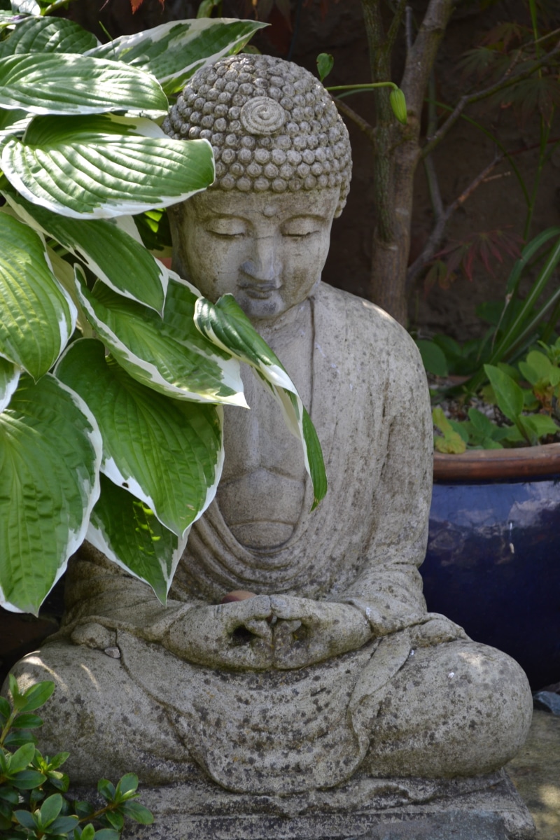 philosophy, human representation, gautama, sculpture, nature, statue, buddhism, india, leaf, carving, oriental, soul, pray, pose, ancient, art and craft