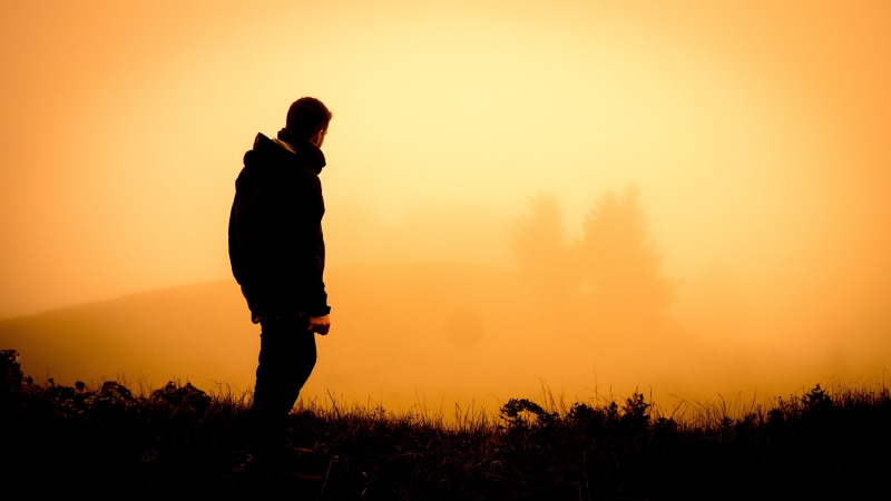 adults only, tranquility, field, 5K, jacket, land, plant, solitude, silhouette, guy, sunset, clothing, people, back lit, cold, orange color, view, leisure activity