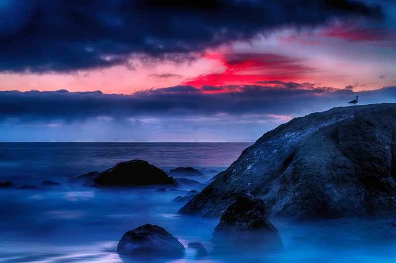 scenics, beach, beside, dusk, Bird, sea, landscape, foggy, wave, body, seascape, body of water, water, 8K, mountains, sunset  beach, coastline, sunset