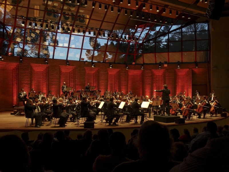 Symphony, lighting equipment, Music, stage, musician, entertainment occupation, 2K, electric guitar, performance, large Group Of People, crowd, group Of People