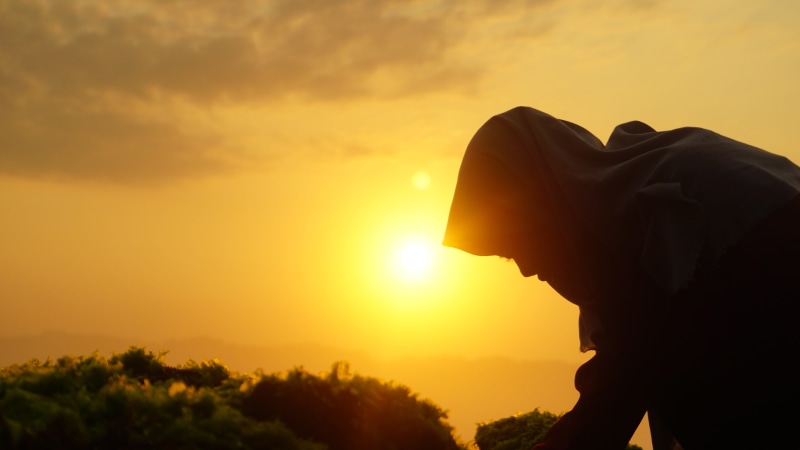 nature, lens flare, contemplation, sunset, outdoors, girl, sky, mid adult, beauty in nature, sunlight, sunrise, back lit, profile view, leisure activity
