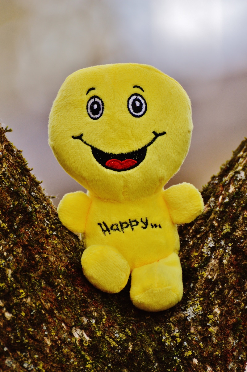 day, cheerful, green color, happiness, emotion, nature, courage, positive, smiling, sweet, happy, laughing face, life is beautiful, still life, joy, toy
