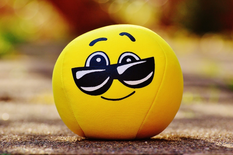 focus on foreground, anthropomorphic, sweet, 5K, still life, Cool, humor, face, human representation, anthropomorphic face, friendly, smiling, emoji, themselves