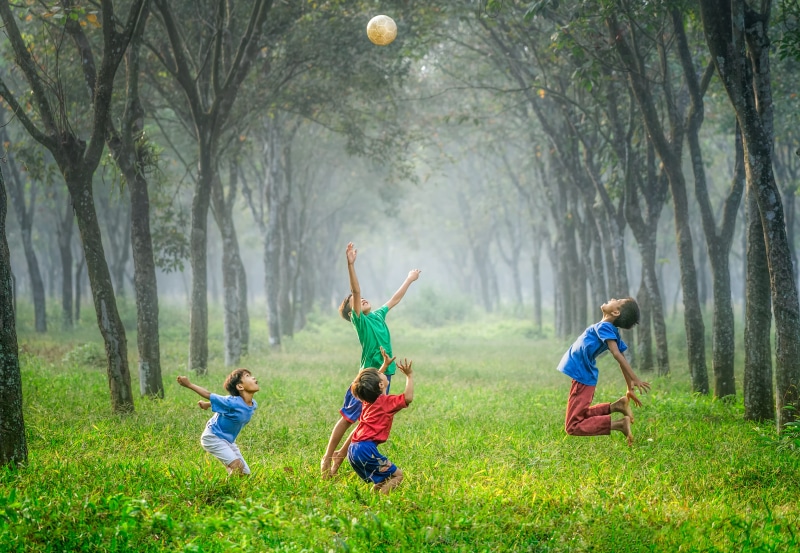 children, leisure activity, men, tree, women, females, boys, outdoors, males, nature, play, plant, child, green, full length, offspring, girls, forest