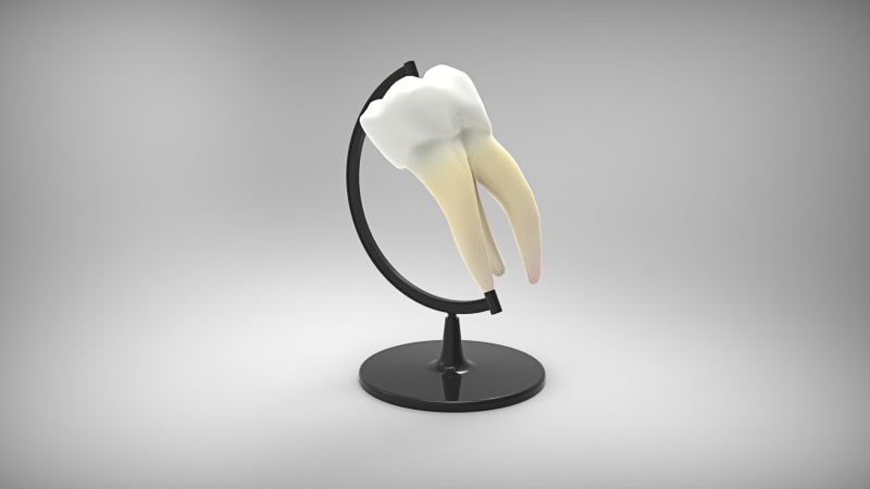 dentist, orthodontics, simplicity, white, still life, food and drink, globus, humor, sweet food, gray, fun, studio shot, human, no people, black, technology